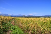 IMG_7749.JPG