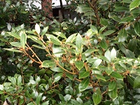 IMG_1410.JPG