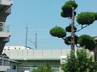 006.jpg