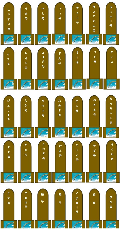 100.jpg