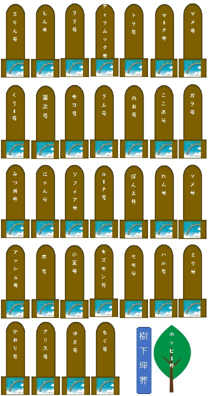 200.jpg