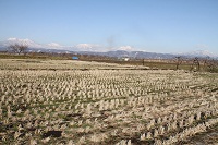 IMG_3883.jpg
