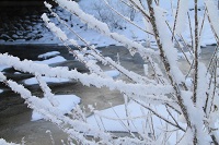 IMG_1215.jpg