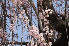 IMG_7539.jpg