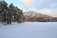 IMG_0444.JPG