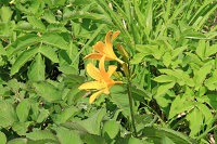 IMG_6709.JPG