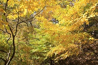 IMG_1750.jpg
