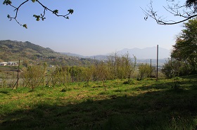 7000.jpg