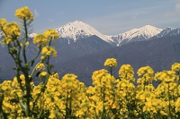 IMG_3447.jpg