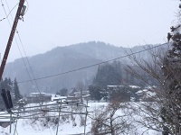 IMG_1442.JPG