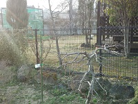 001.jpg