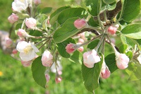 IMG_3516.jpg
