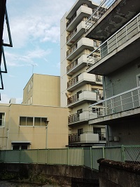 DSC_0037.jpg