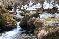 IMG_7199.JPG