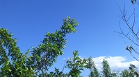 DSC_0039.JPG