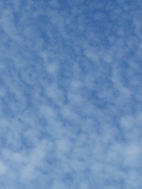 20120920_144133.jpg