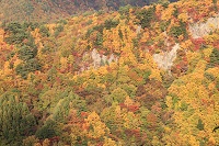 IMG_9063.jpg