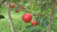 DSC_0069.JPG