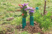 IMG_7504.JPG