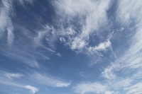 IMG_1911.jpg