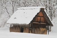 IMG_0971.jpg