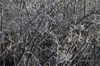 IMG_6711.jpg