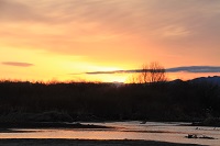 IMG_1169.jpg