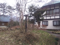 IMG_20180411_083154.jpg