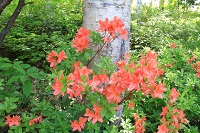 IMG_6539.jpg