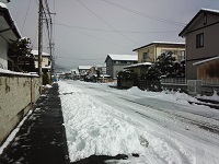 DSC_0006.jpg