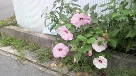 2011090411110001.jpg