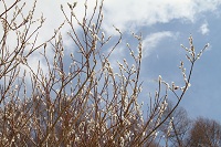 IMG_4097.jpg