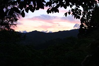 IMG_6470.jpg