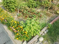 004.jpg
