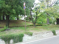 005.jpg