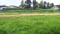DSC_0006.JPG