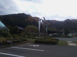IMG_20171115_143159.jpg