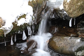IMG_9795.JPG