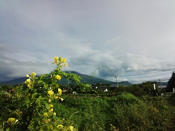 IMG_20140804_063213.jpg