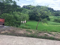 image1.JPG