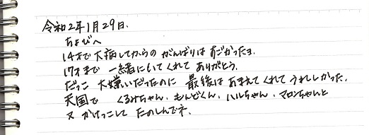 100.jpg