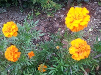 20120920_164054.jpg