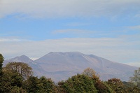 IMG_9506.jpg
