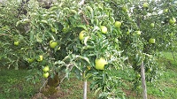 DSC_0042.JPG