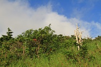 IMG_6855.JPG