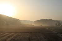 IMG_2807.jpg