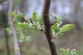 IMG_7671.JPG