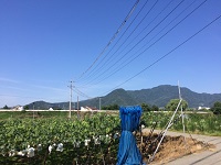 image1.JPG