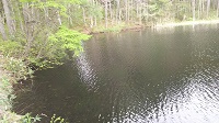 DSC_0001.JPG