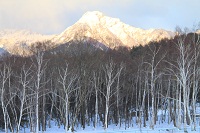 IMG_4161.jpg